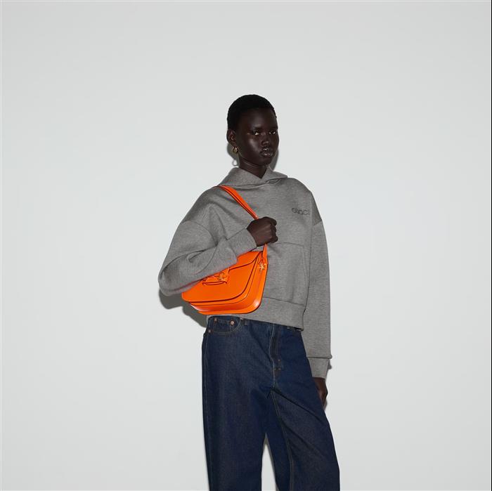 202529C602204N164058726