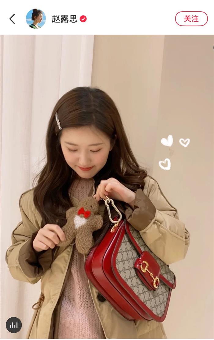 202529C602204N164058867