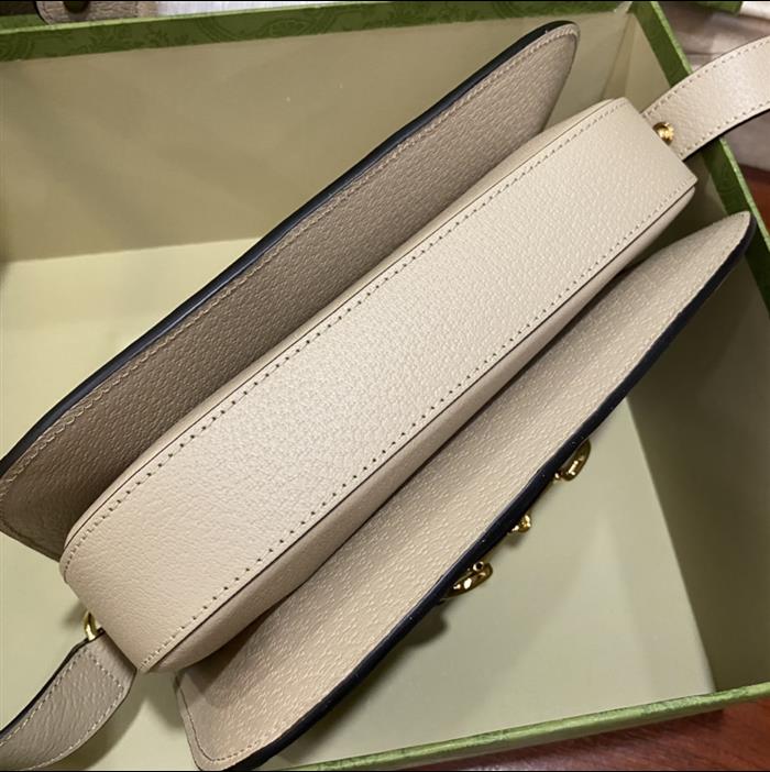 202529C602204N164059484