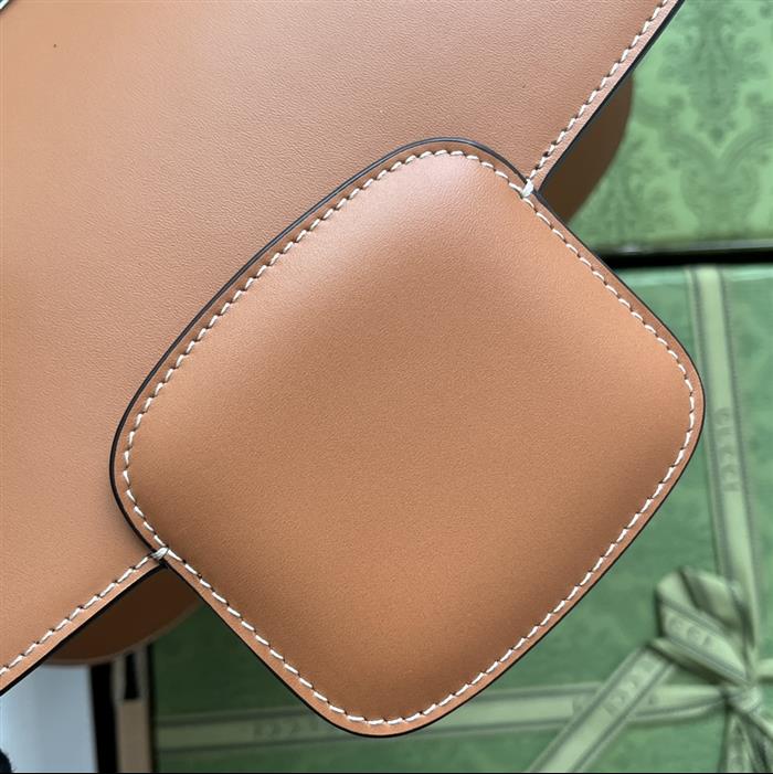 202529C602204N164059733