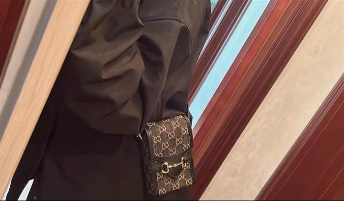 202529C625615N16412969