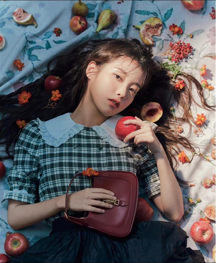 202529C637091N16411327