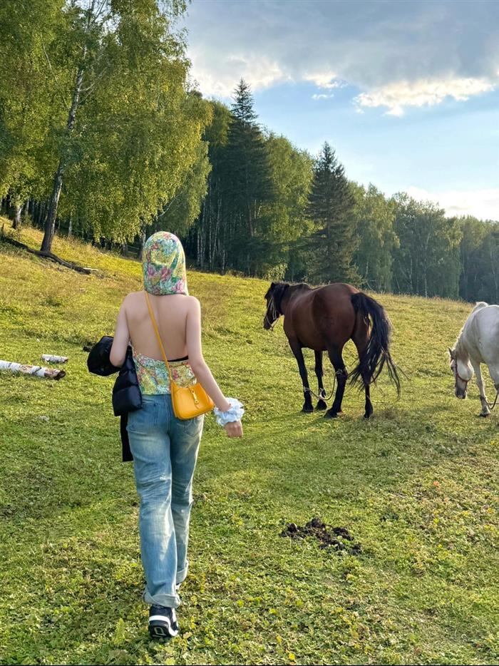 202529C637091N164113791