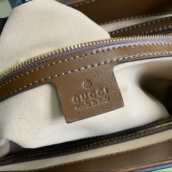 202529C649016N164116358