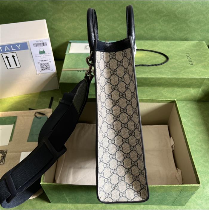 2025210C724685N201833146