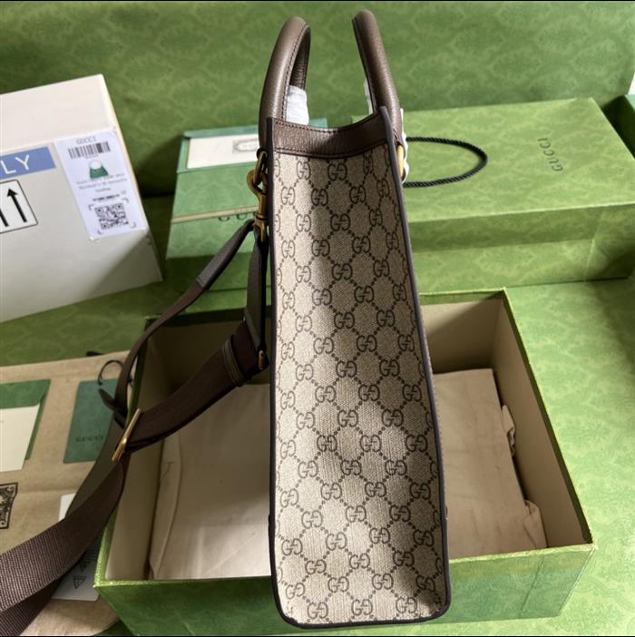 2025210C724685N201833288