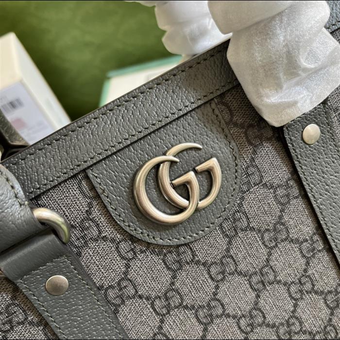 2025210C731793N201835905