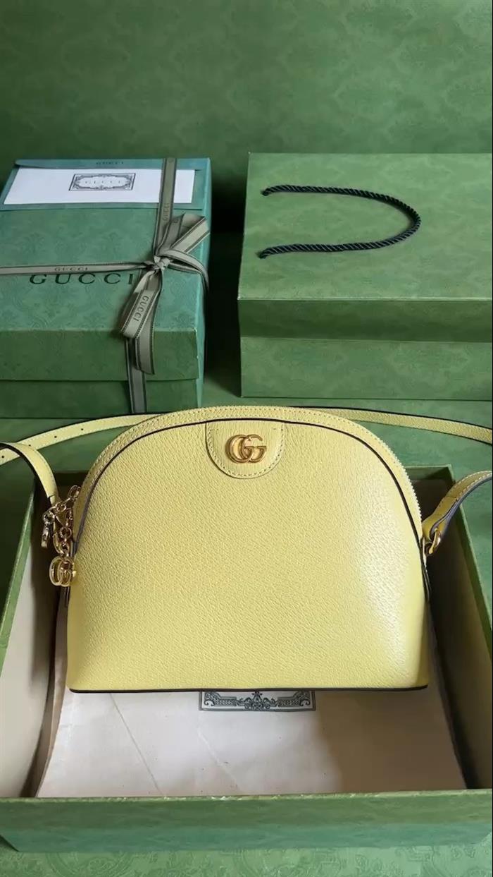 202529C499621N164026272