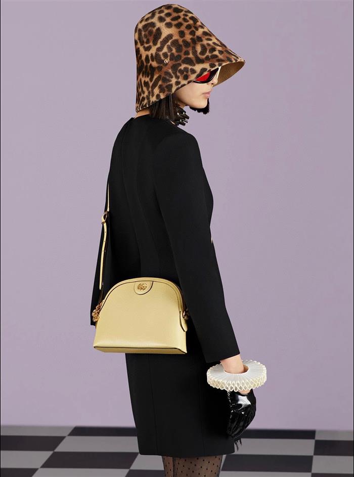 202529C499621N164026288