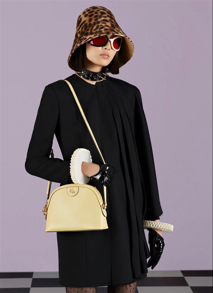 202529C499621N164026320