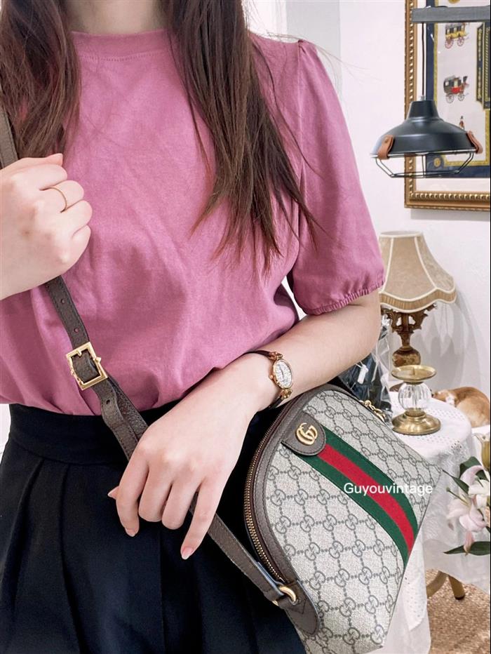 202529C499621N164026367