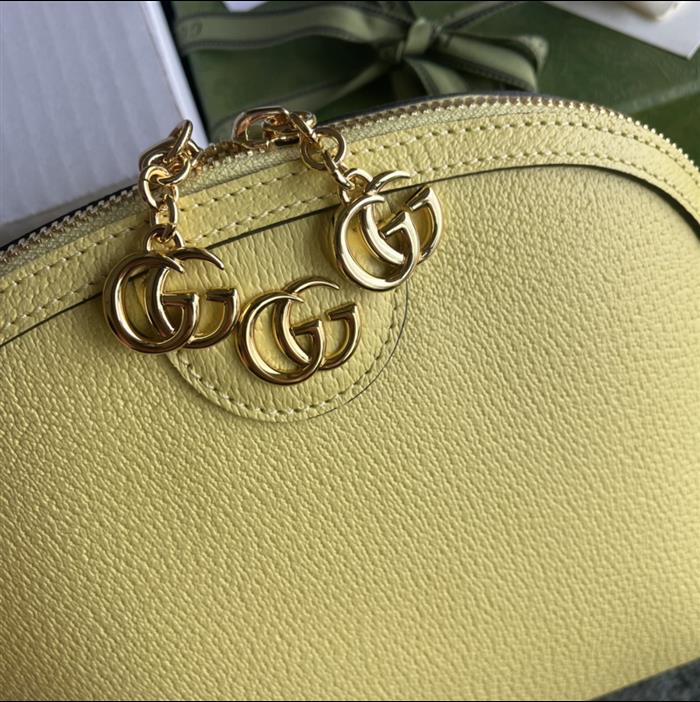 202529C499621N164026479