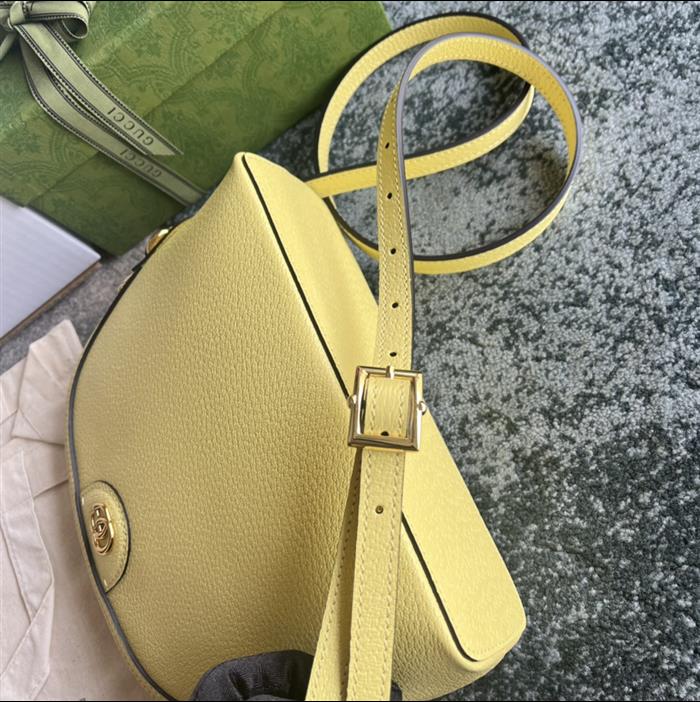 202529C499621N164026511