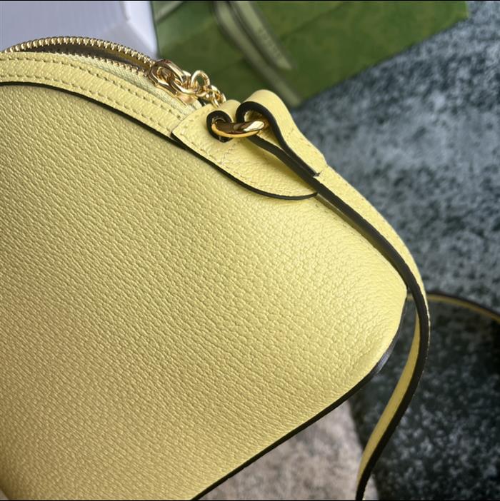 202529C499621N164026527