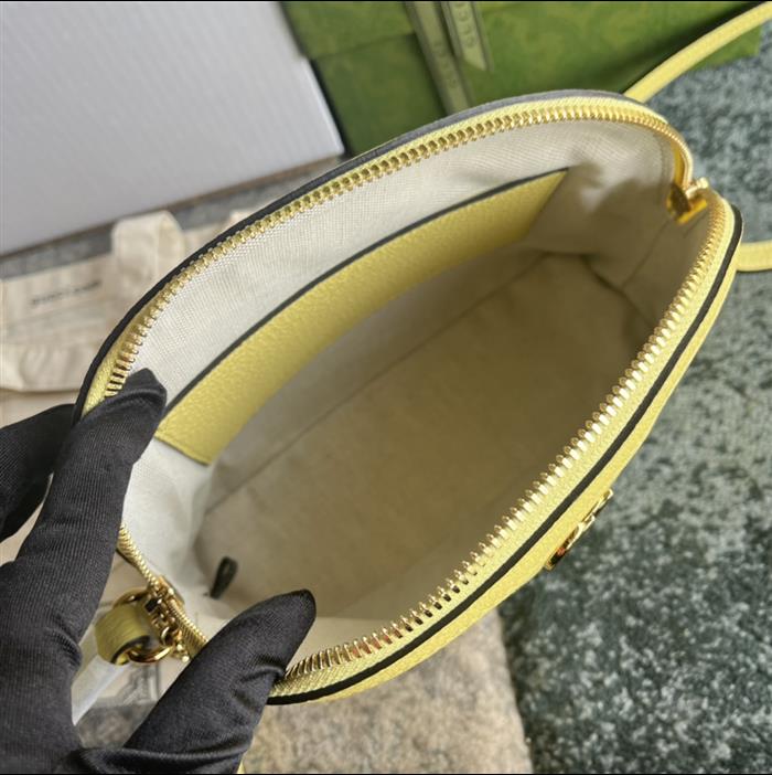 202529C499621N164026543