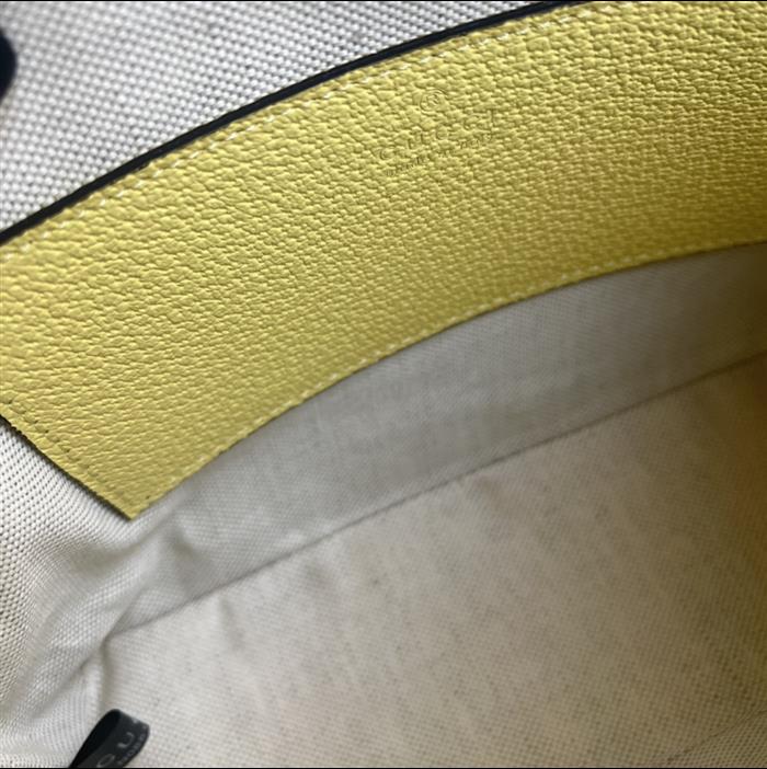 202529C499621N164026559