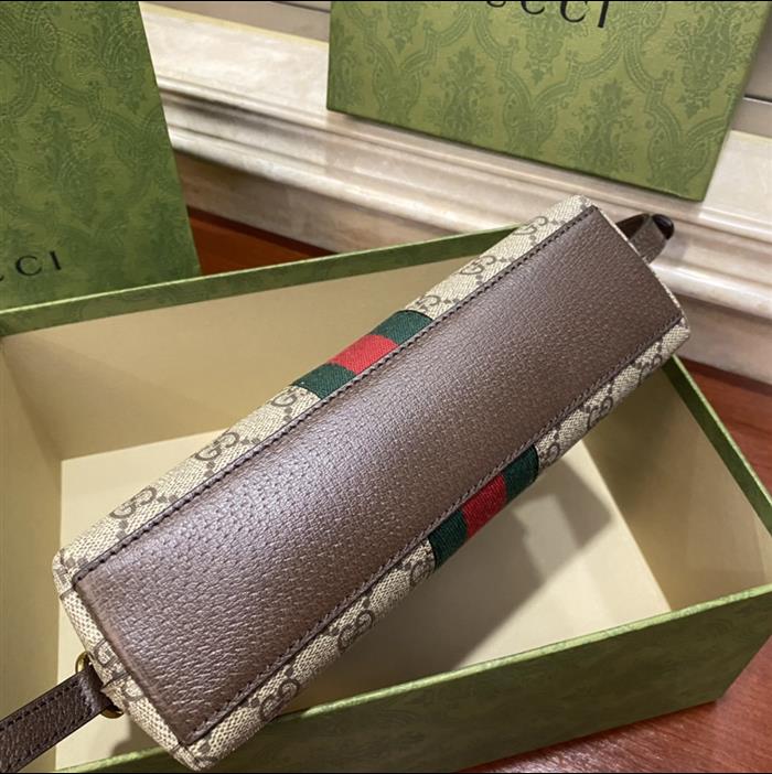 202529C499621N164026809