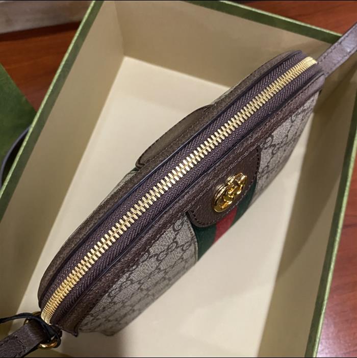 202529C499621N164026825