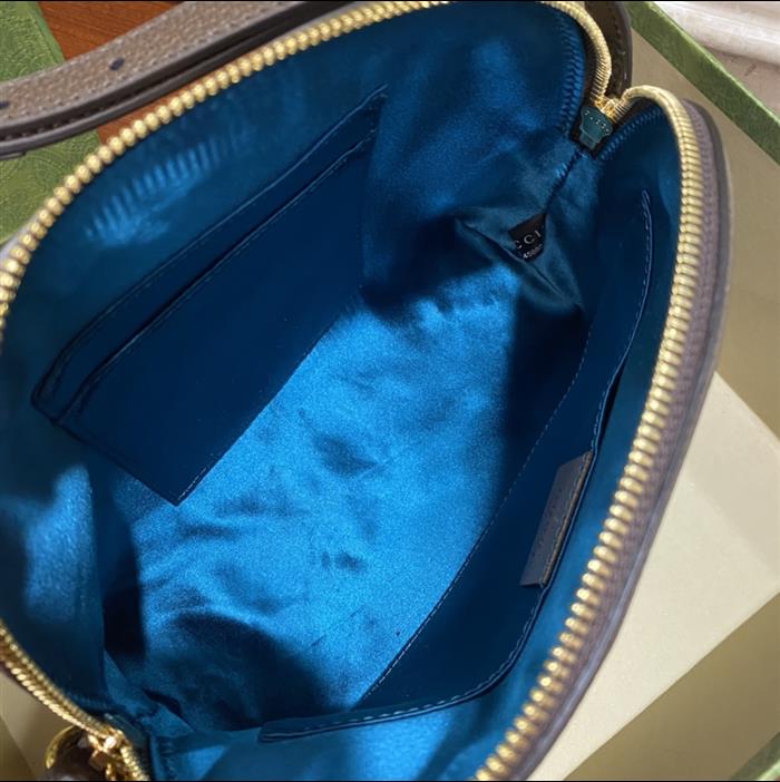 202529C499621N164026840