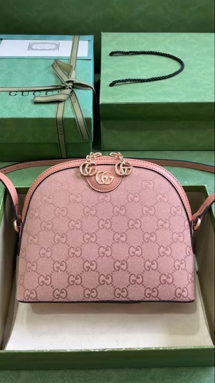 202529C499621N164026879