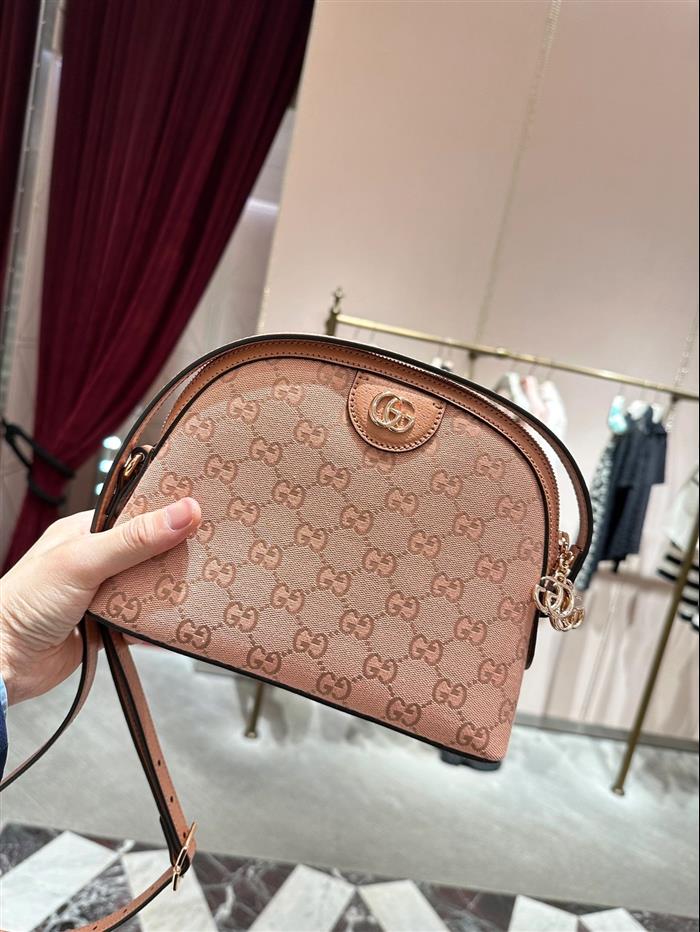 202529C499621N164026887