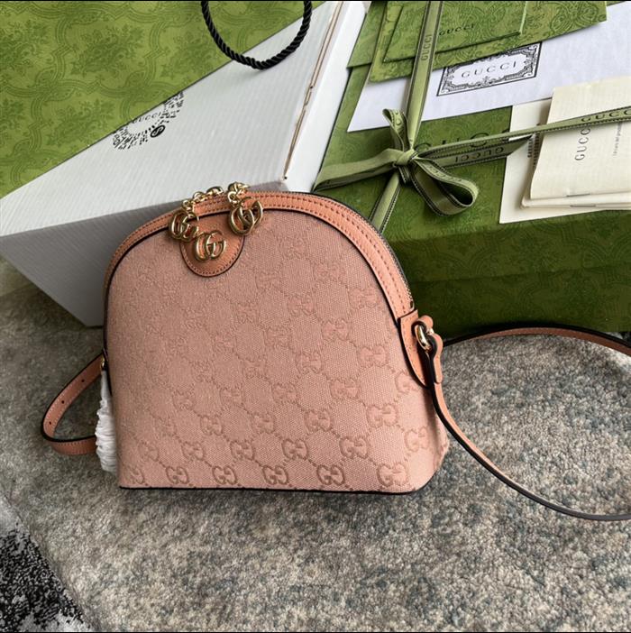 202529C499621N164026949