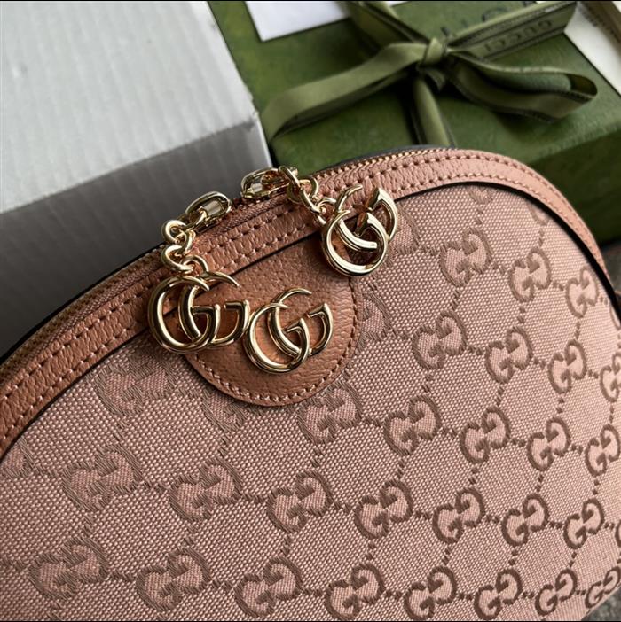 202529C499621N164026980