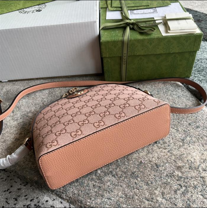 202529C499621N164026996