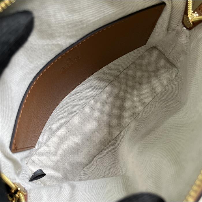 202529C499621N164027247