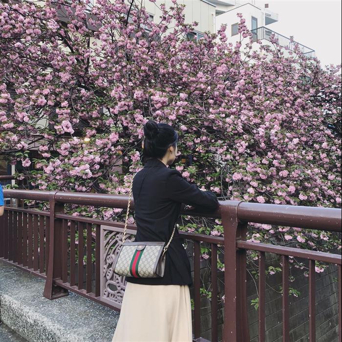 202529C503877N164027541