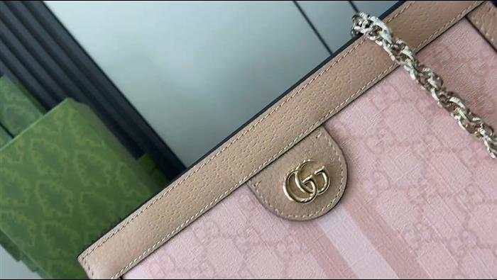 202529C503877N164027619