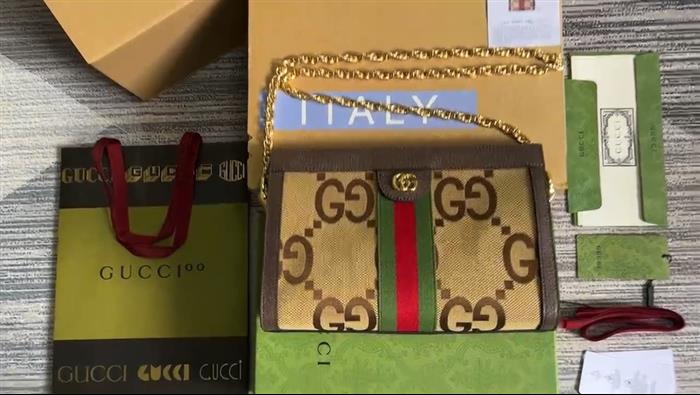 202529C503877N164027666