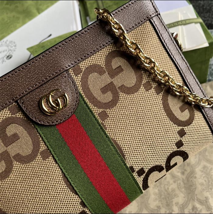 202529C503877N164027729