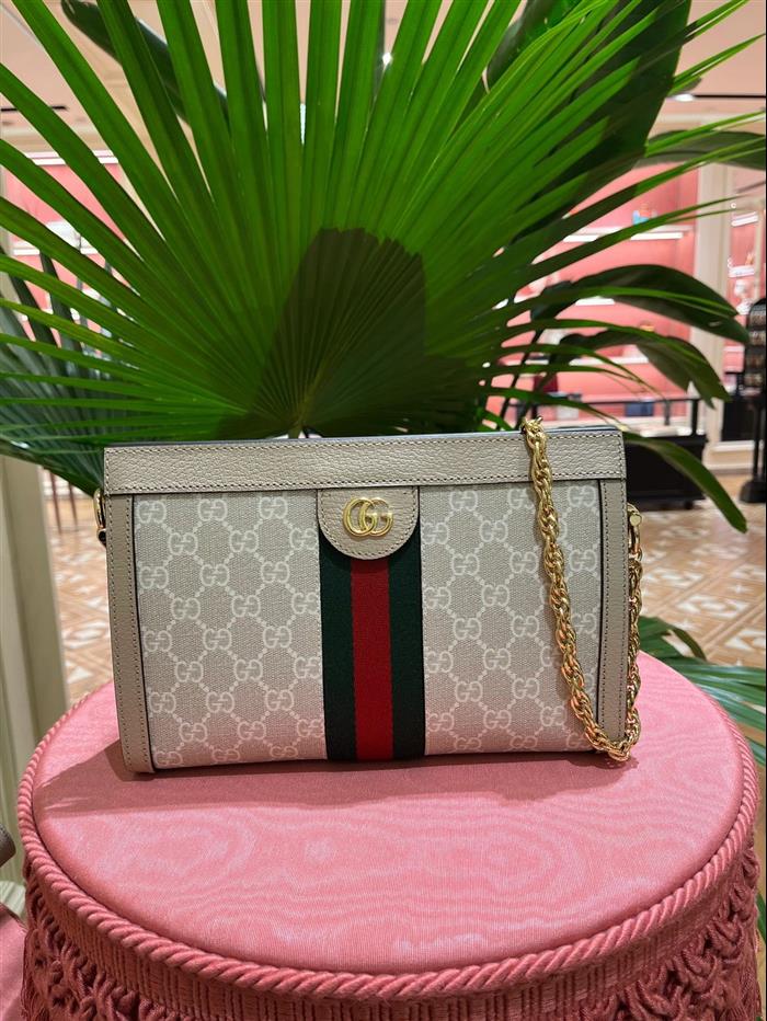 202529C503877N164027884