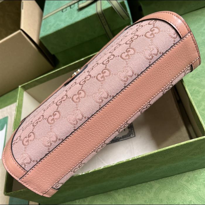 202529C503877N164028258