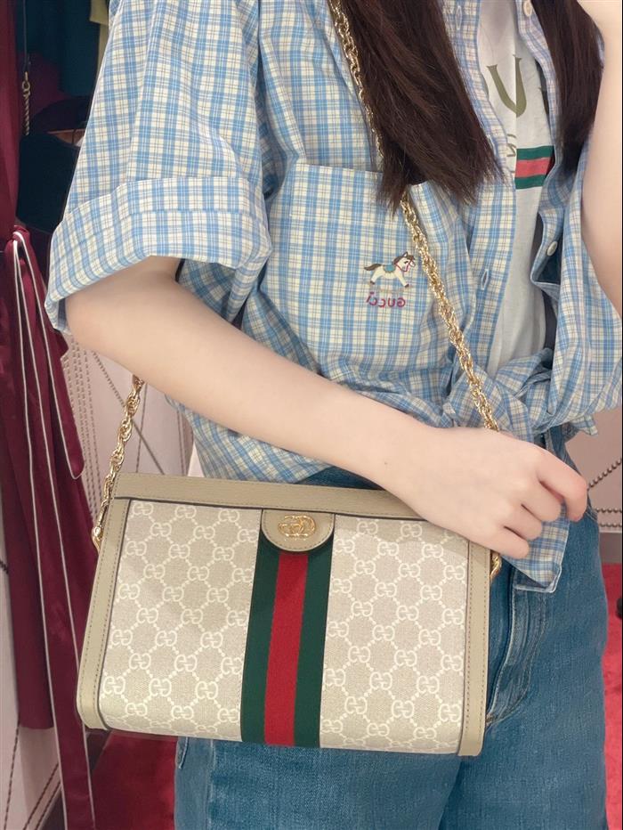 202529C503877N164028805