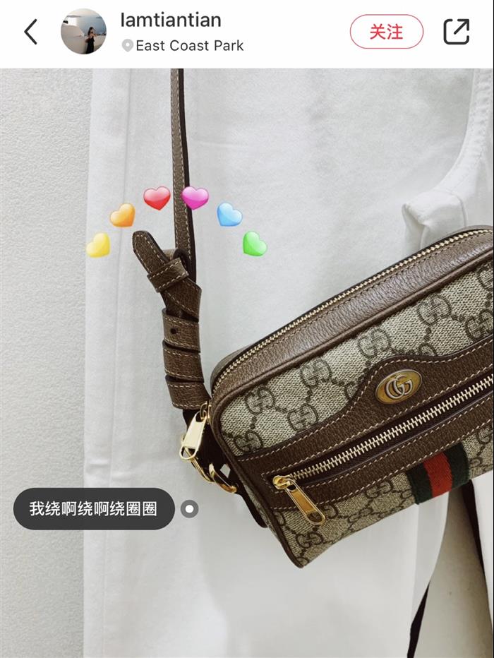 202529C517350N164029435