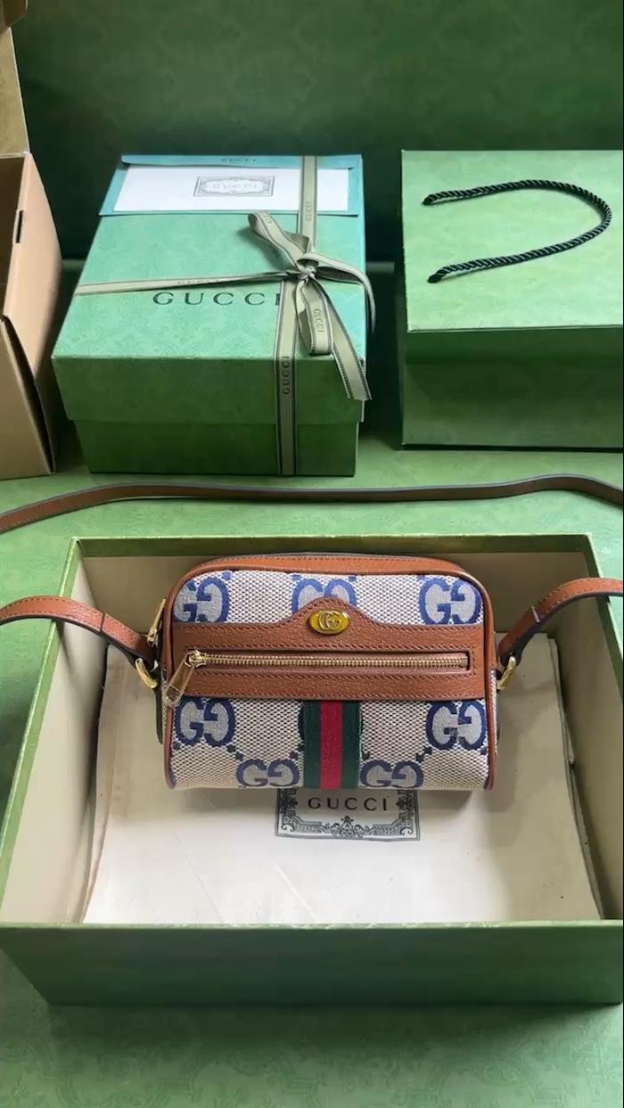 202529C517350N164029969