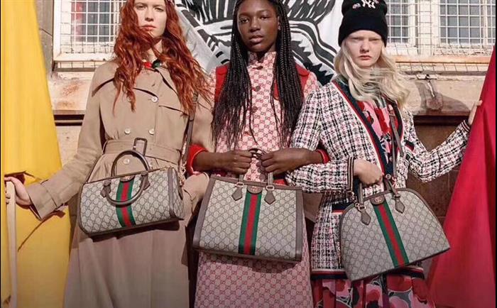 202529C524532N164031704