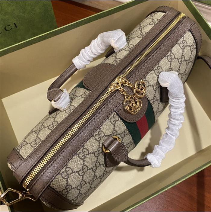 202529C524532N164031829