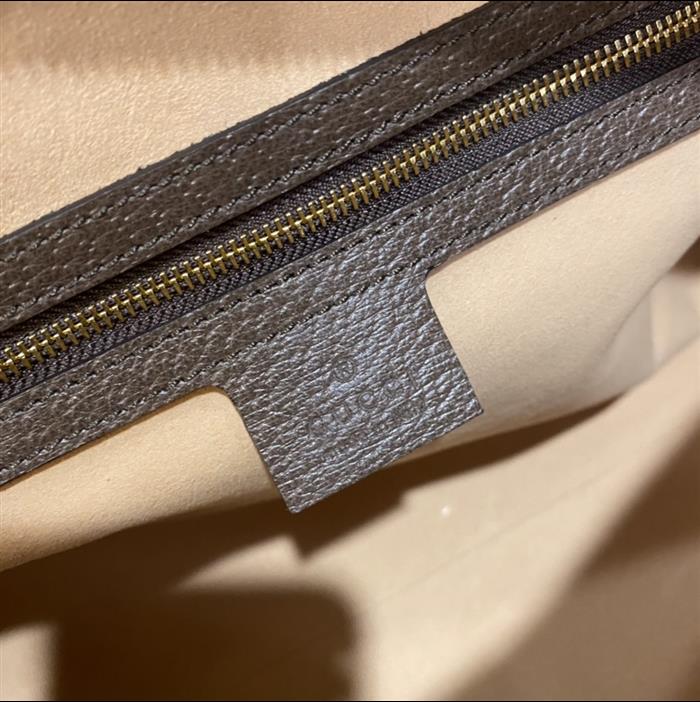 202529C524532N164031860