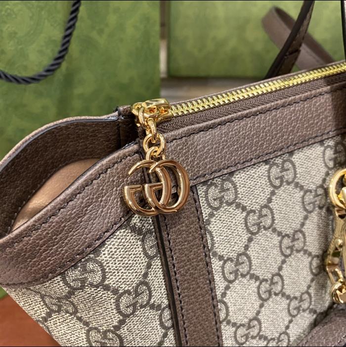 202529C524537N16403217