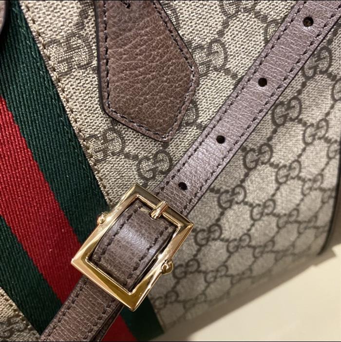 202529C524537N16403248