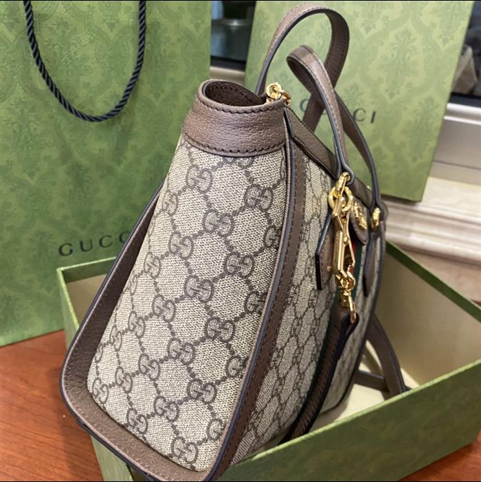 202529C547551N164032158