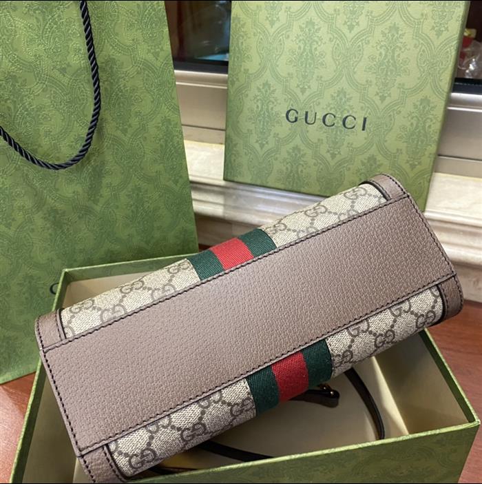 202529C547551N164032221