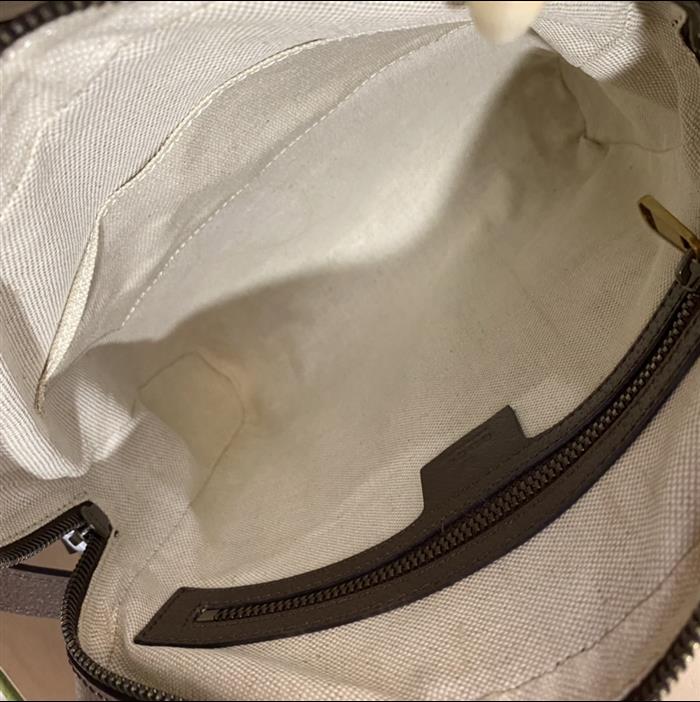 202529C547926N164032789