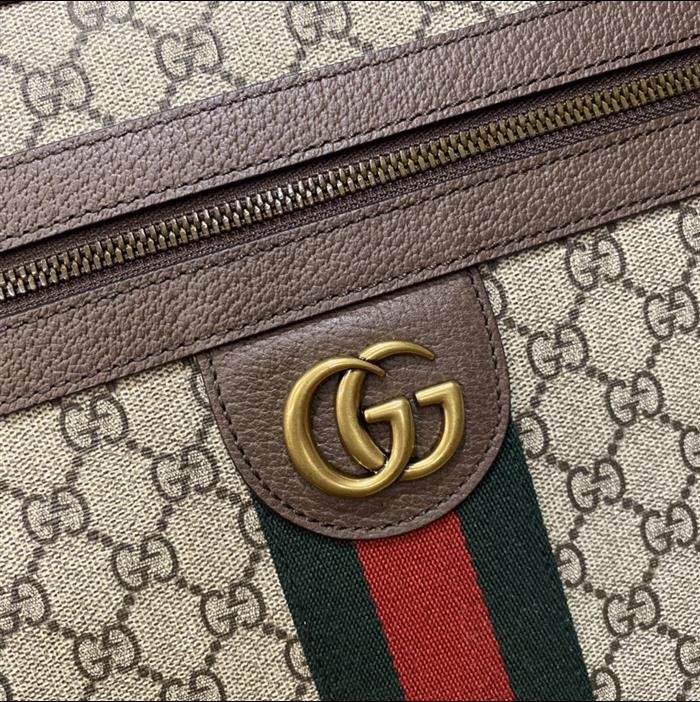 202529C547934N164032994