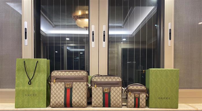 202529C547934N164033169