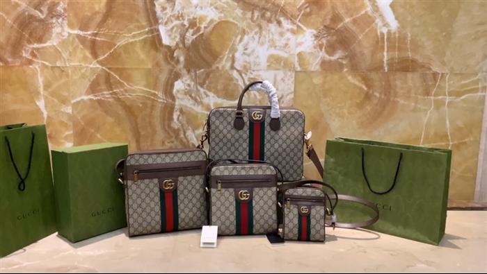 202529C547934N164033185