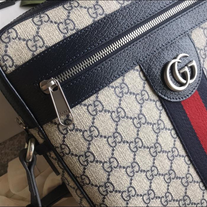 202529C547934N164033245